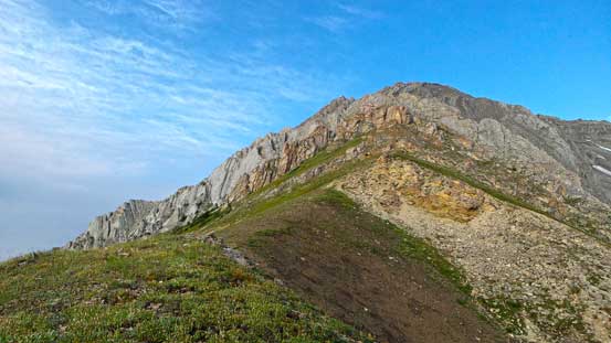 The path starts somewhere here