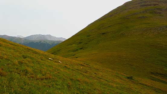 Back to the grassy col