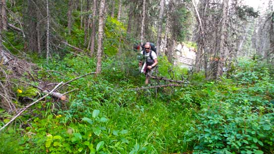 And, wet vegetation. The trail was very easy to lose if not paying attention to the flaggings
