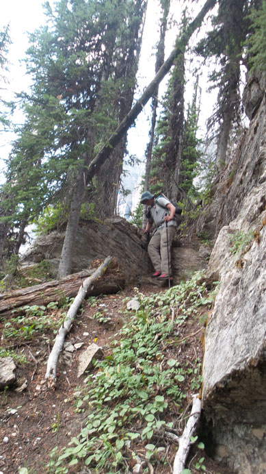 Relocating the camp to a more suitable place for Prince Albert and Prince George