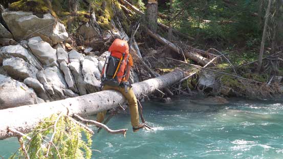 The sketchy log cross near the end of this trip..
