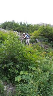 Ben picking a line down the wet bush