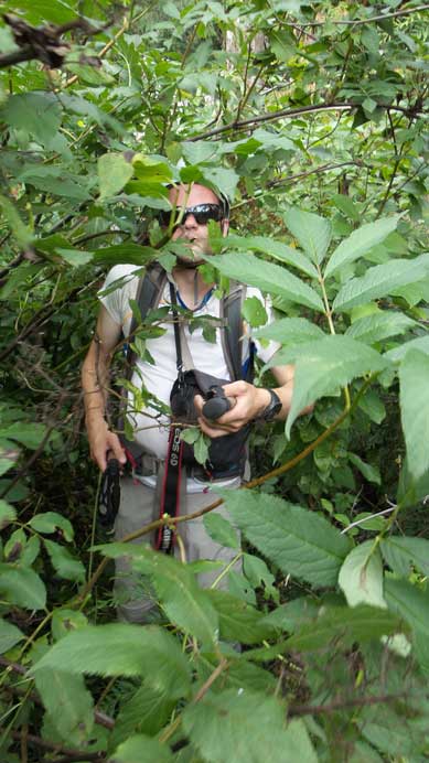 Eventually we entered the bush again...