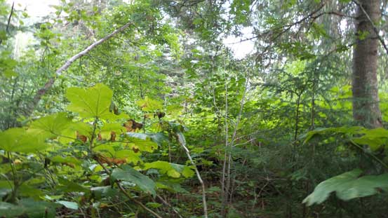 Not a pleasant way to end a day...