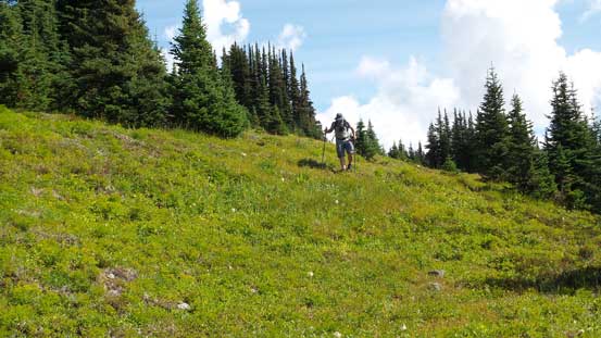 Eric hiking down the meadows