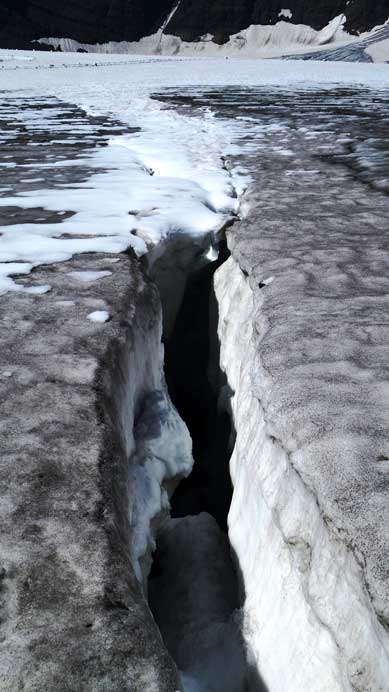 Crevasses on Haig Icefield