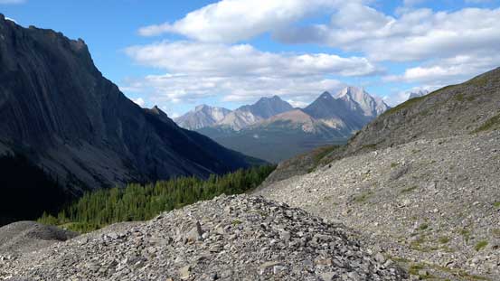 Pretty soon we'd enter the trees