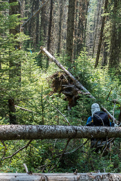 Back through the mess. Photo by Vern