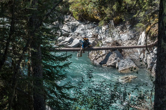 Me crossing the log. Photo by Vern