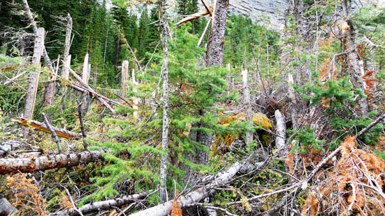 Not the greatest way to start a day...