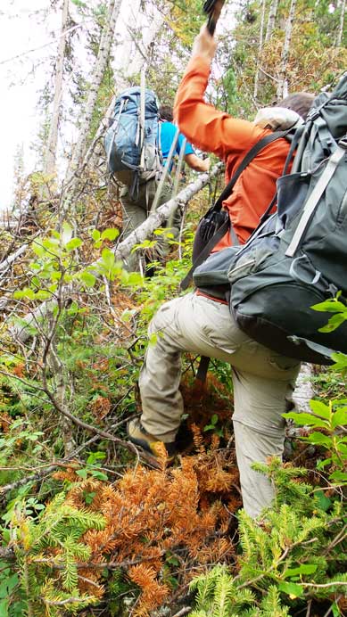 Now came the fun parts....