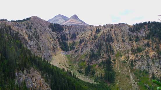 High up on the treed ridge now, looking towards the summit