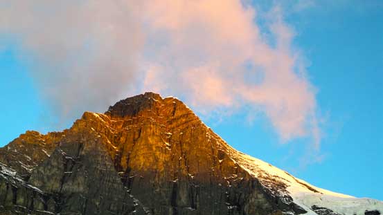 A close-up view of Woolley