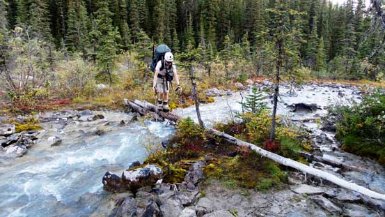 Ben crossing a log. Very slippery here