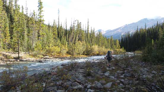 Hiking along Woolley Creek