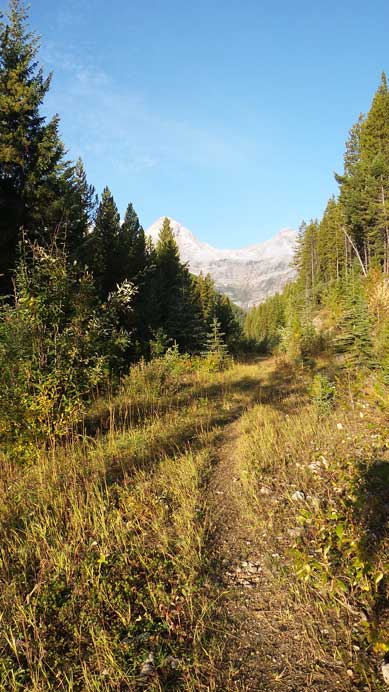 The initial 6 km or so.