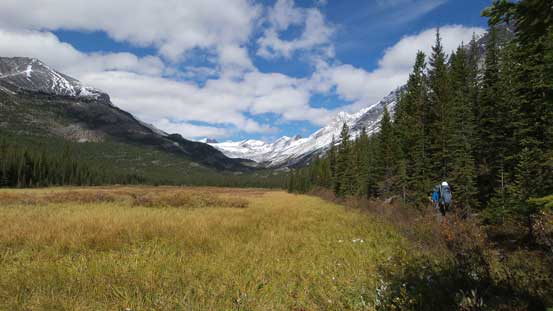 Soon we arrived at a large meadow area.