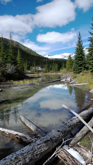 There were many wetlands like this in this valley.