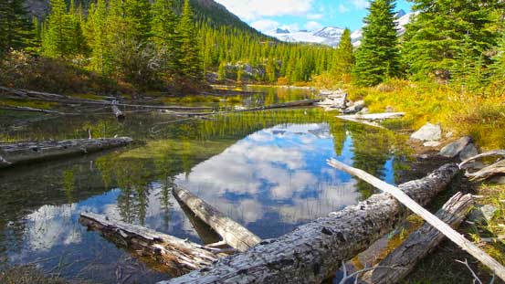 Many tarns like this. Looks beautiful on the pictures but imagine coming here in mosquito season..
