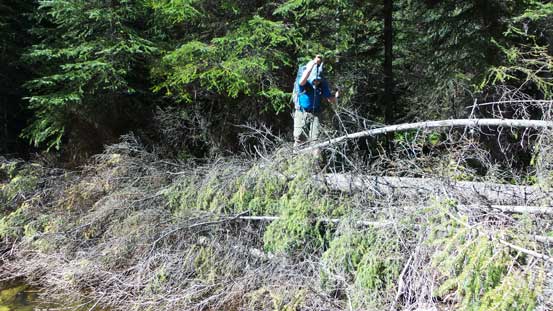 Eric on the log jam. 5 min away from the parking lot!