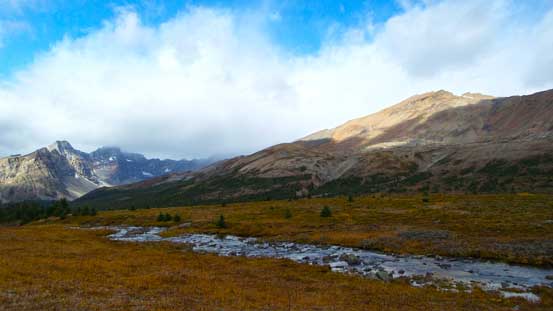Mosquito Mountain doesn't look fun in summer...