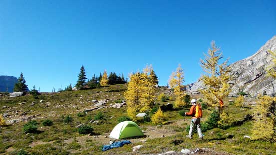 Back to our 5-star camp