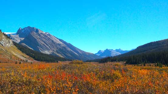 Fall colours in Pipestone River Valley