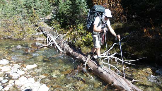 We found a log to cross Pipestone River without the need of fording. The price we paid was more bushwhacking. 