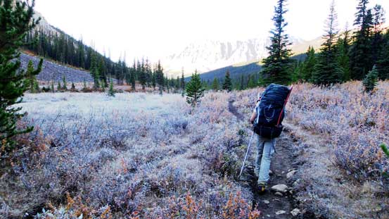 On the final slog. There was a temperature inversion and you can see the frost. 