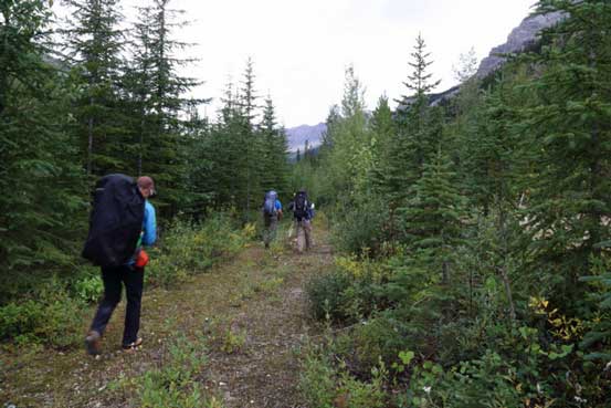 We hiked down this road to the creek below. Photo by Ben