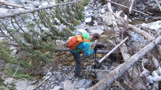 Oh the dead-falls... 