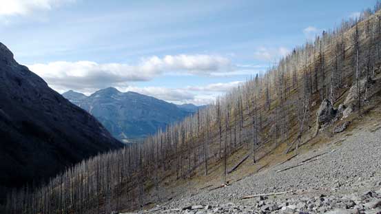 Looking back. We just side-hill traversed through this burnt forest