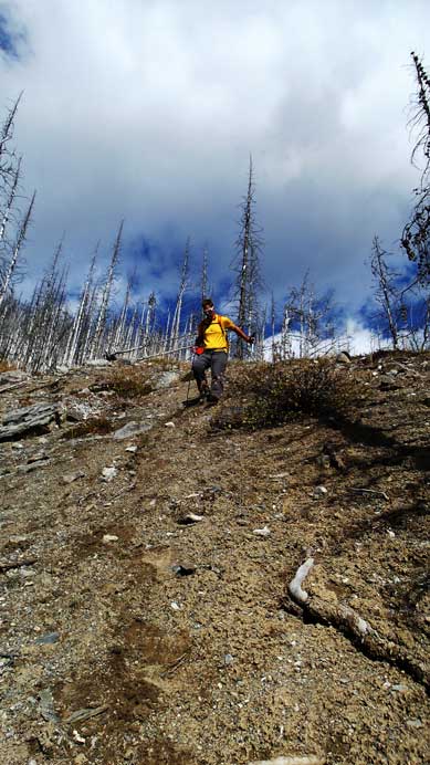 Just before dropping into the creek. 
