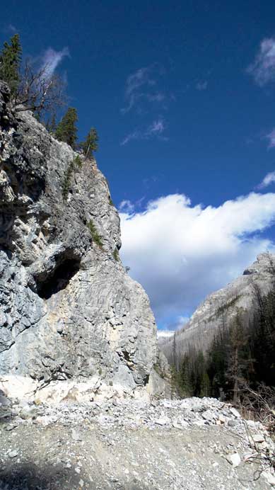 A narrower section of the creekbed