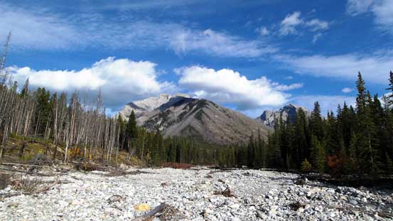 Almost done the creek walk