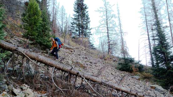 This bit of side-hilling part was the only unpleasant on this approach.