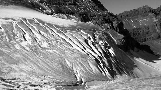 Crevasses on the glacier. Our path would avoid most of them except for one.