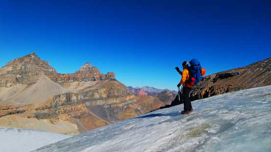 Raff checking out the views