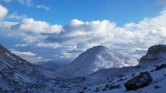 This should be Purple Mountain