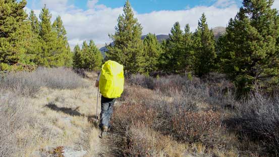 Arriving at another clearing