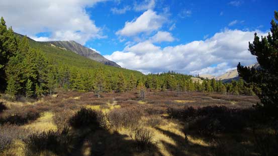 Could see our objective on left now