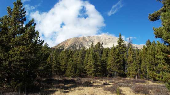 Here's where we left the trail. Marble Mountain directly above us.