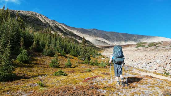 Almost at treeline. Now we were too far climber's right