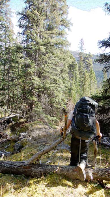 Eventually we merged to our ascending line and found much-better bush.