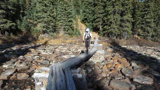 They're all well bridged!