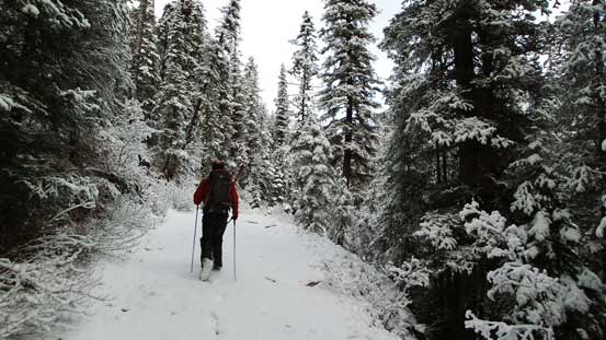 Hiking on Jacques Lake Trail. Continuous snow from the start!
