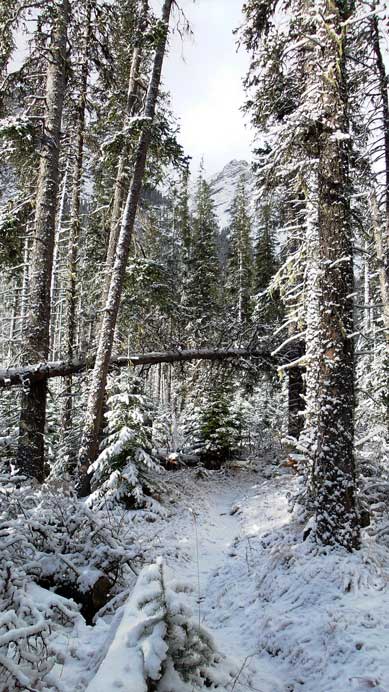 The trail got narrower