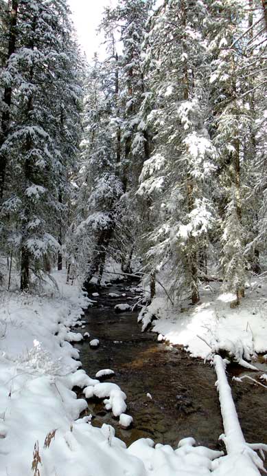 The creek started easily. We stayed on its left side.