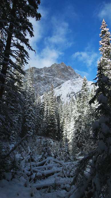 The mighty Sirdar showed up again.