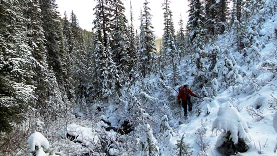 This is the typical bushwhacking along 2nd stage...